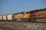 BNSF 9928 Roster shot